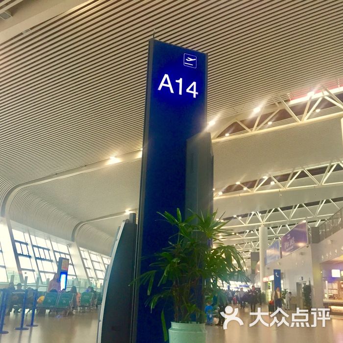 合肥新桥国际机场