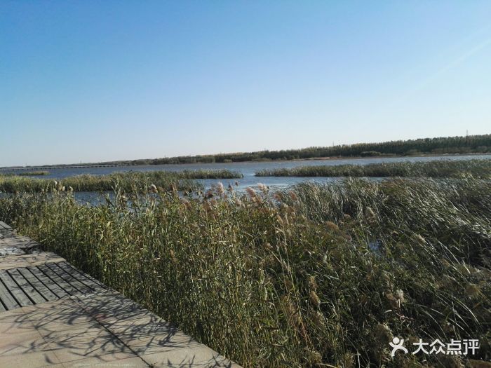 潮白河湿地公园-景点图片-宝坻区周边游-大众点评网