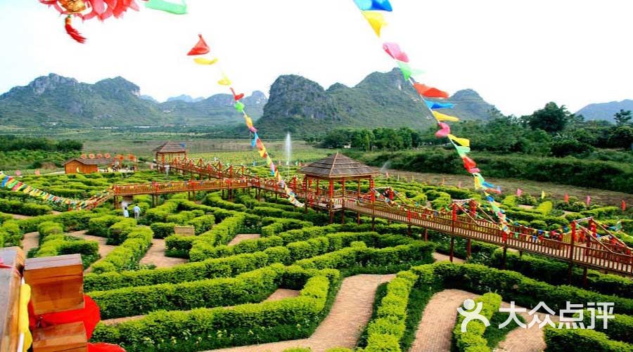 "南宁花花大世界景区"的全部点评 - 武鸣区景点/周边