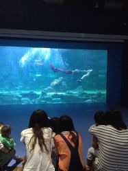 长春中泰海洋馆门票_地址_地图_攻略(图)-长春