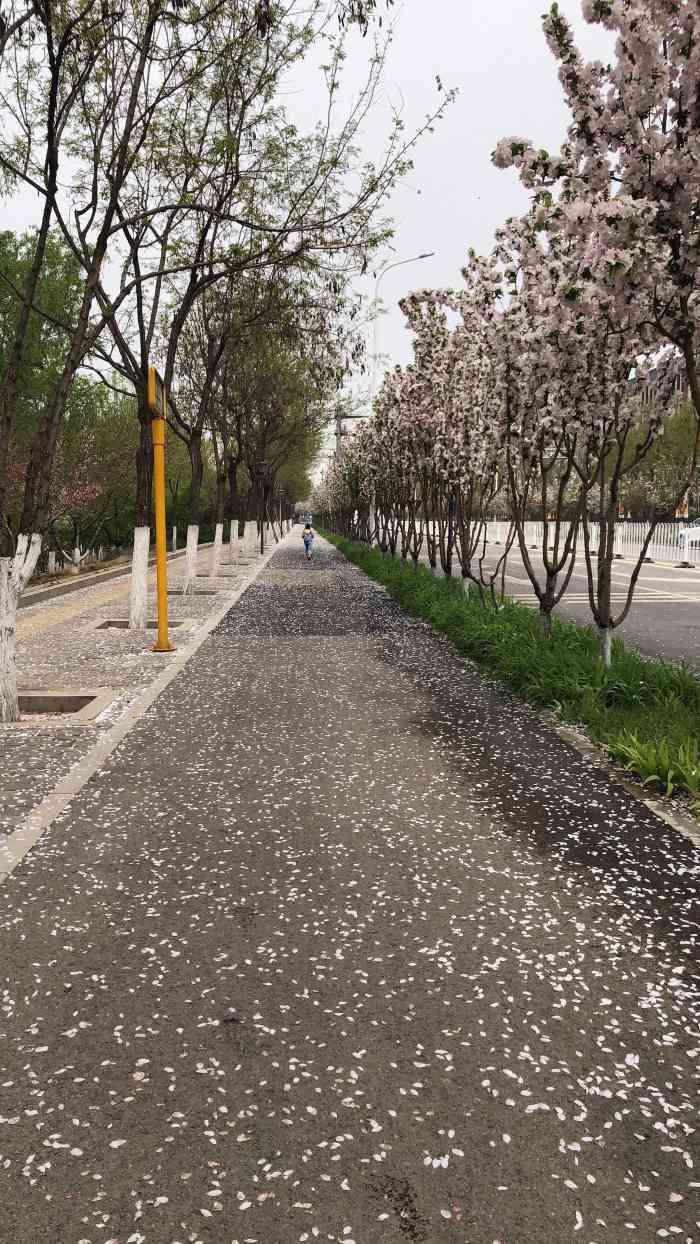 商务富锦公园-"商务富锦公园是一个街边公园,整个公园