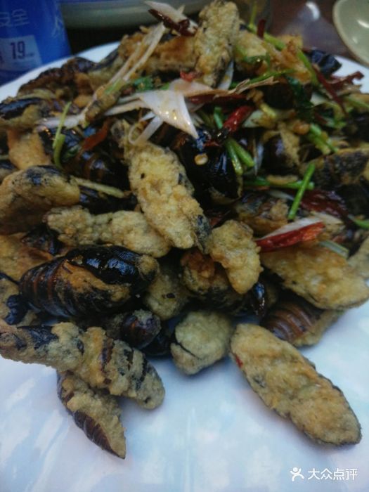 龙方东北家常菜烧烤干煸蚕蛹图片 第1张