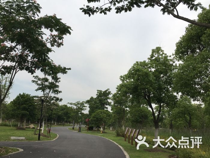 康桥生态园沔青绿地图片 - 第10张