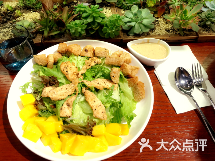 saladjohn沙拉匠的点评