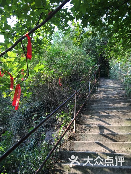 湘湖景区老虎洞旅游咨询中心-停车场图片 - 第8张