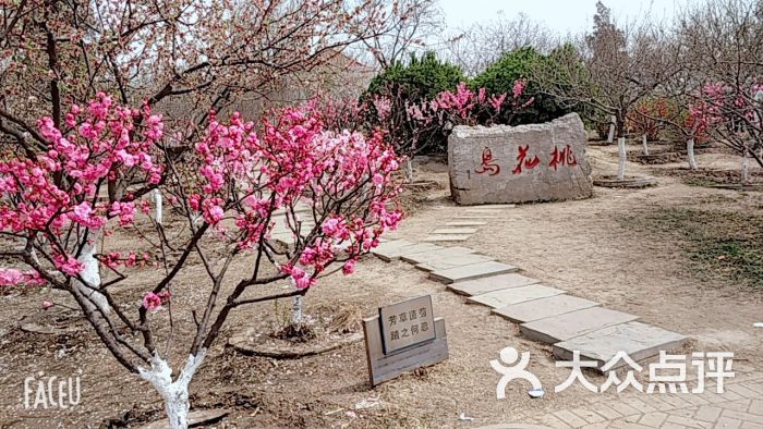 第二工人文化宫桃花岛图片 第16张