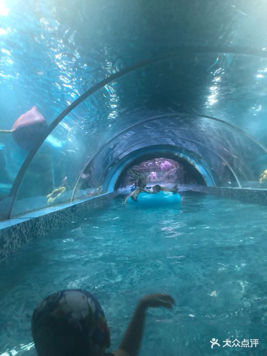 重庆汉海鲸豚湾水世界图片 第181张