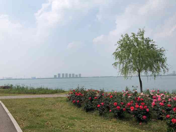 盛泽湖休闲度假区