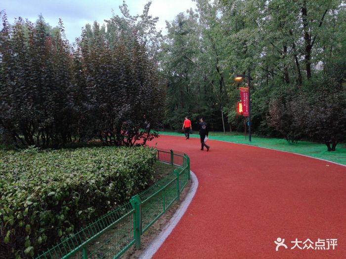 城市运动公园图片 第8张