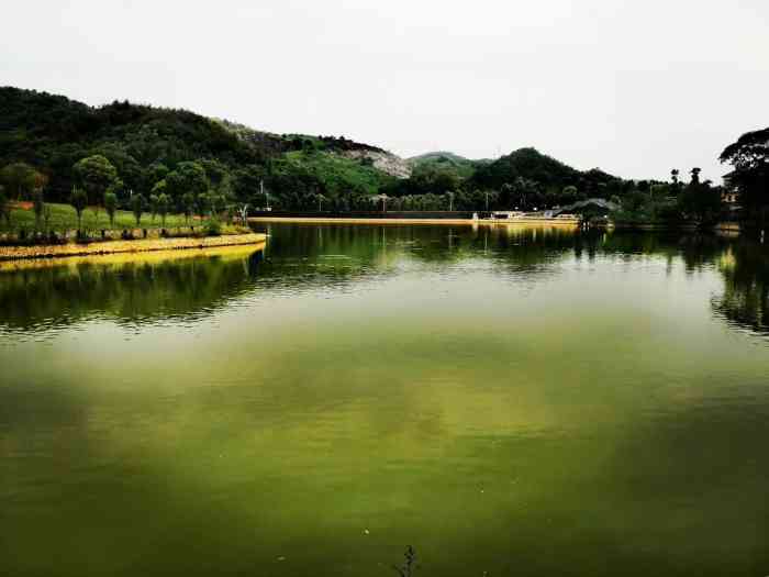 国际慢城太寺垭森林公园