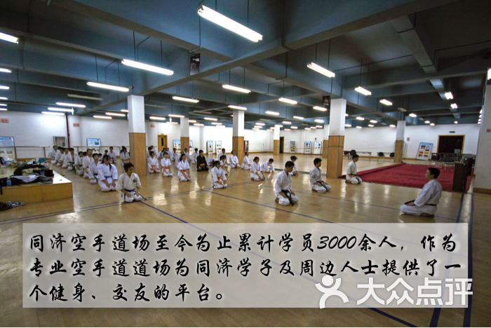 日本空手松涛连盟(同济道场()空手道)()空手道)图片 - 第7张