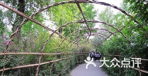 清滨公园-图片-哈尔滨景点