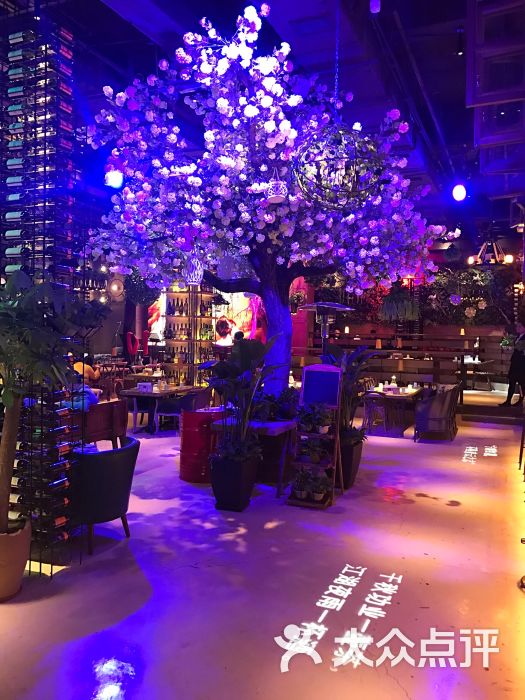 幸福胡桃里音乐演艺餐厅(民主广场店-图片-大连美食-大众点评网