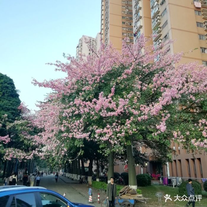 华南师范大学(石牌校区-图片-广州学习培训-大众点评网