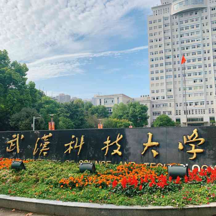 武汉科技大学-"武汉科技大学前身是武汉钢铁学院,后来