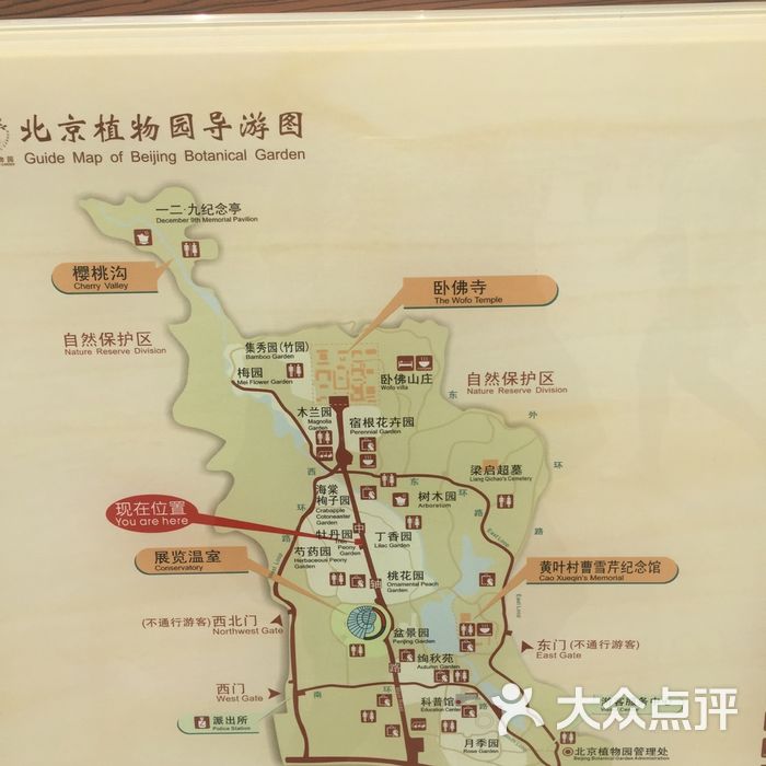 北京植物园景点图片-北京植物园-大众点评网