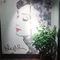 桌游店私影馆 yIeTN2S1U5QnudtPR0D_65SF33FupTCLtC-h1YdsLEdcIGL6n6YbPhgO9ekFYu4tF5u7J_jS4MuCaeLAHD0KTg.jpg