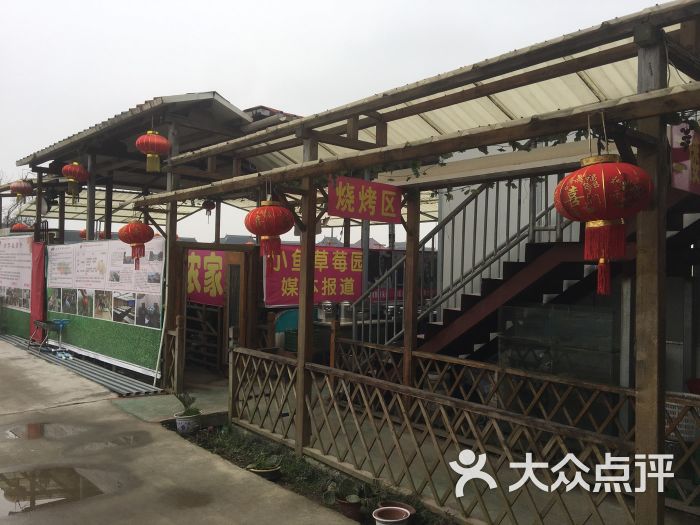 小鱼草莓采摘园农家乐(小鱼餐厅)图片 - 第4张