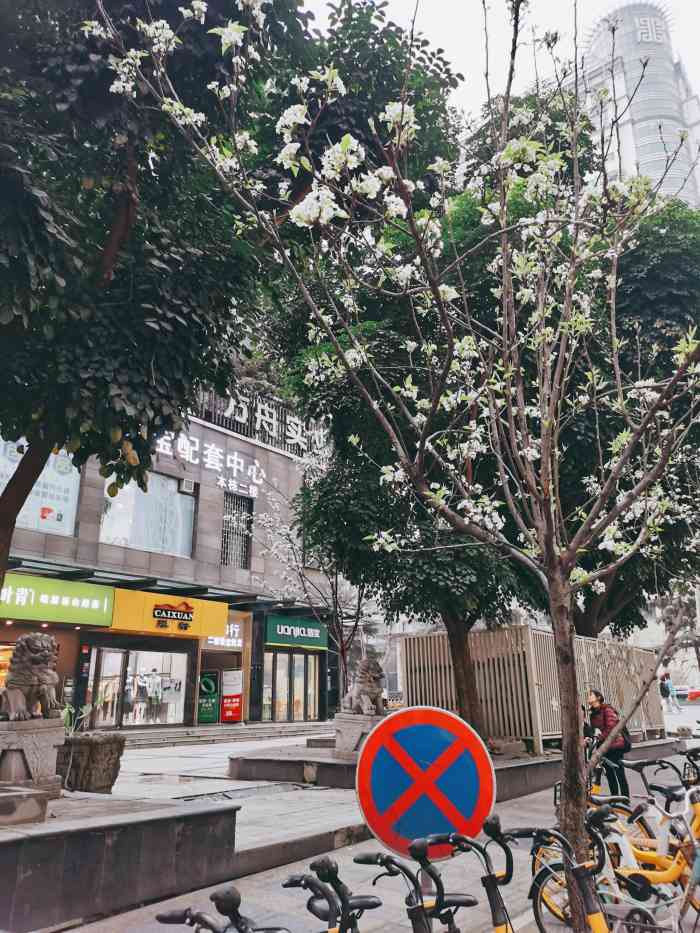 梨花街小区"梨花街小区名字挺诗意的,位于成都市中心.
