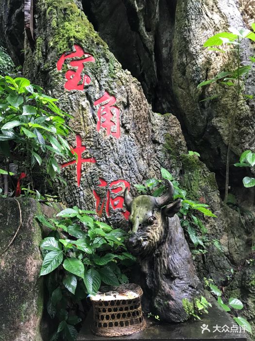 热带雨林国家公园勐远仙境景区图片 第5张