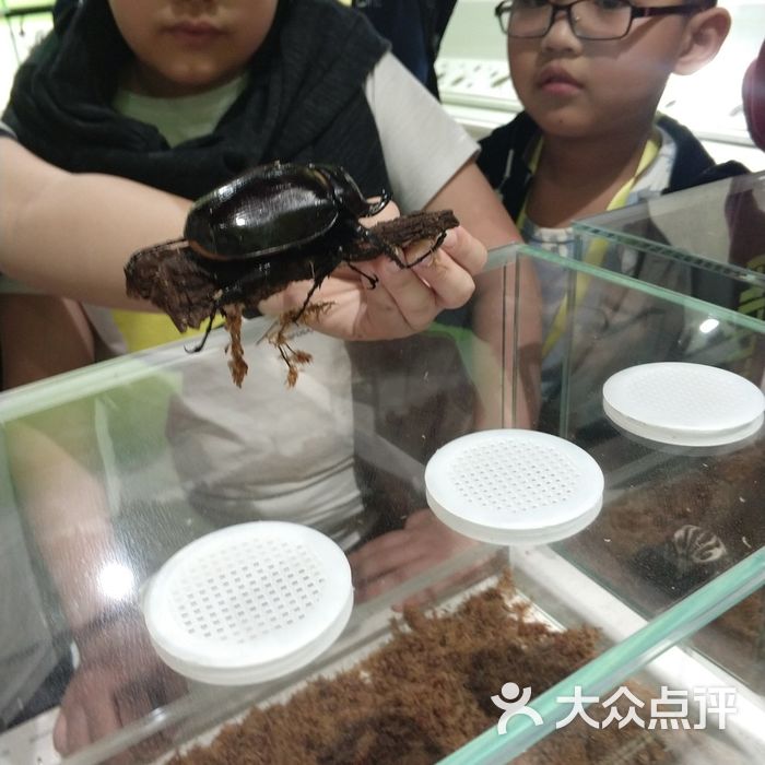 自然年轮昆虫馆图片-北京博物馆-大众点评网