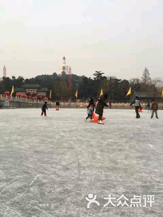 北海公园荷花湖滑冰场图片 第1张