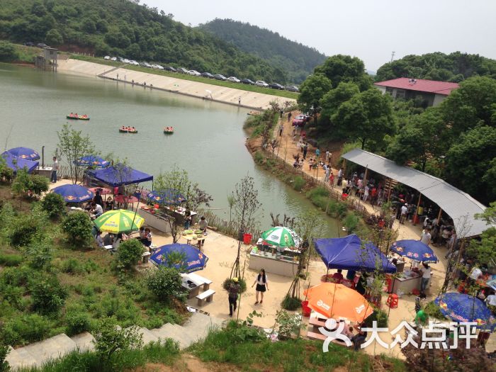 山水忆恋茶农庄景观位图片 - 第20张