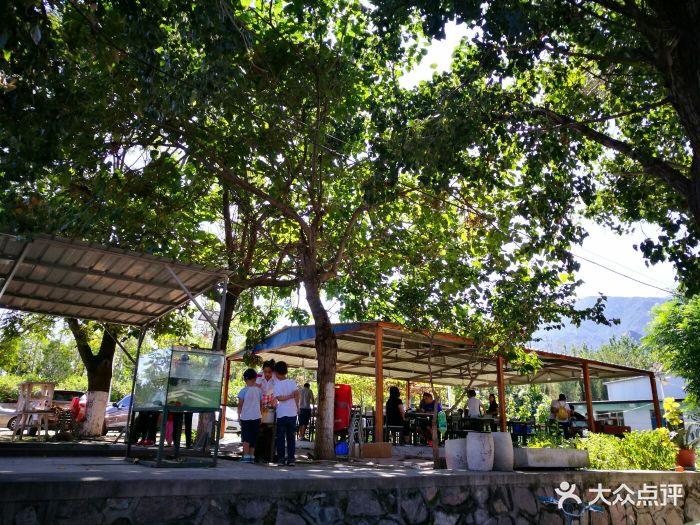 西山农场凤凰岭餐厅--环境图片-北京美食-大众点评网