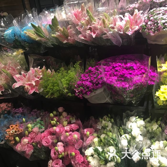 都市花乡花卉园艺中心图片-北京花店-大众点评网