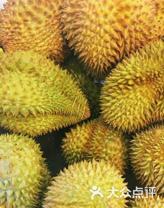 金枕榴莲