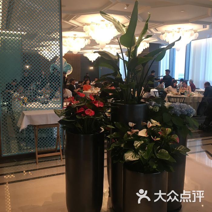 花悦庭