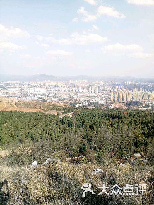 长虫山生态公园风景林图片 - 第2张