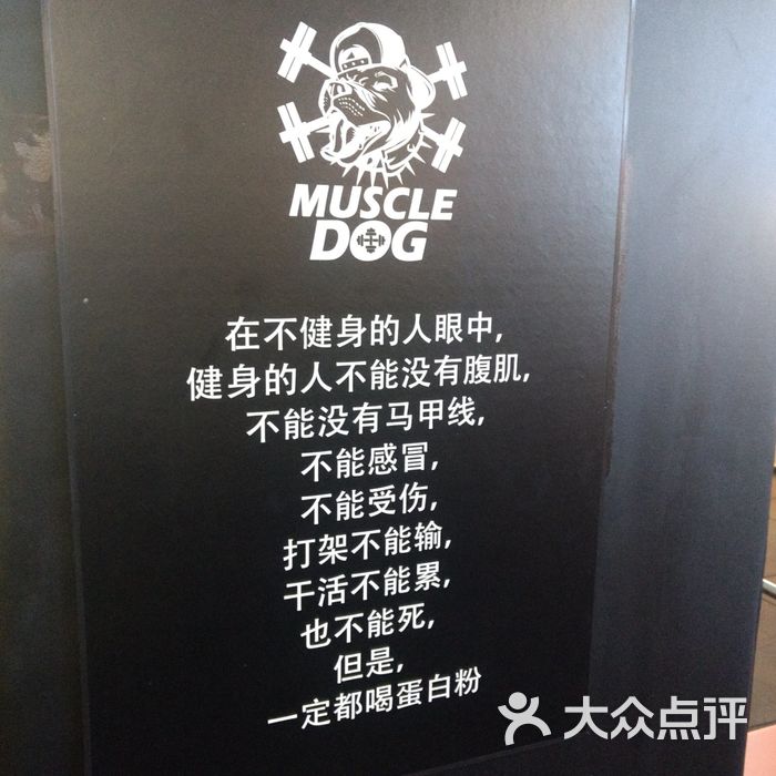 muscle dog综合训练中心图片-北京健身房-大众点评网