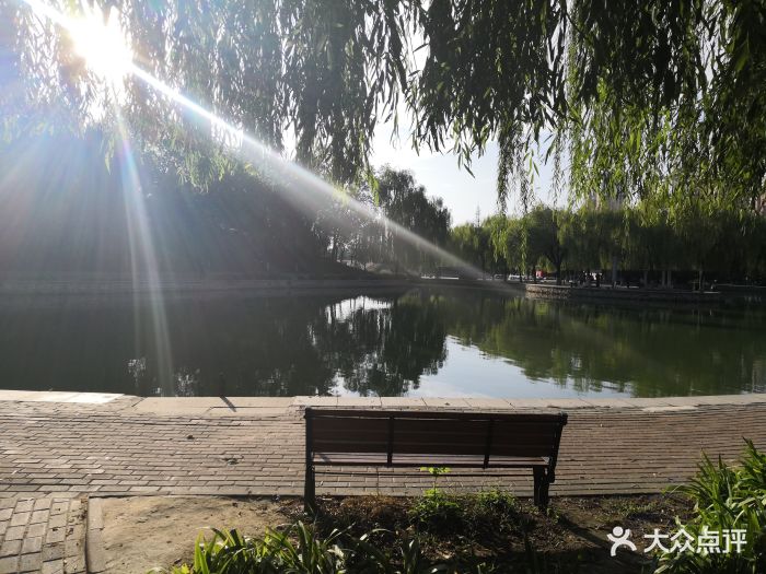 药都公园-景点图片-安国市周边游-大众点评网