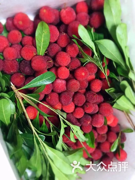 海微水果店-图片-温州购物-大众点评网