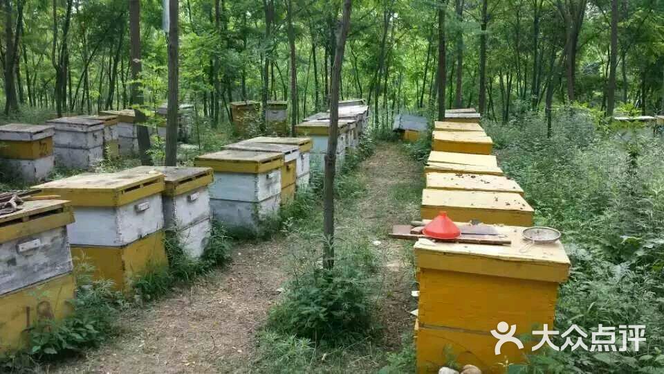 贾公子自产蜂蜜-蜂箱图片-南昌购物