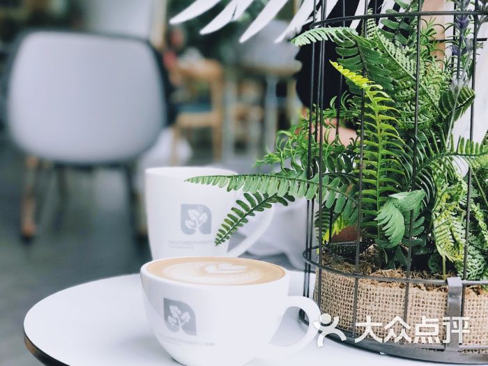 英树咖啡馆图片 - 第1张
