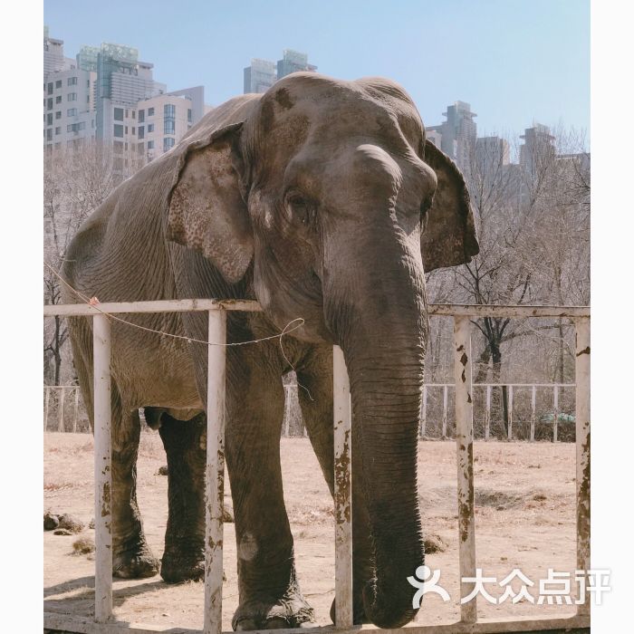 天津动物园图片 第10张