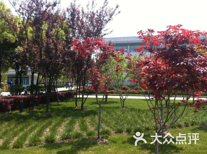 华虹宏力(总部\/二厂)食堂