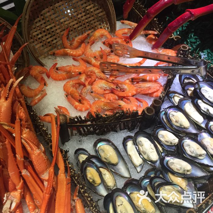 南美豹自助百汇图片 - 第1张
