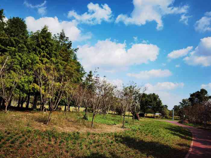 长洲苑湿地公园"望亭北太湖的风景也不输东西山呀～上次结.