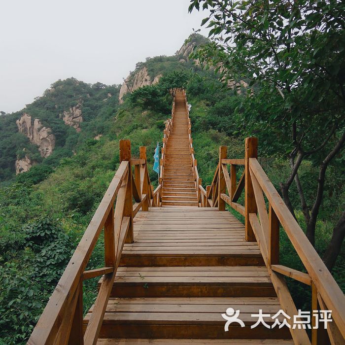 大岭沟猕猴桃谷风景区