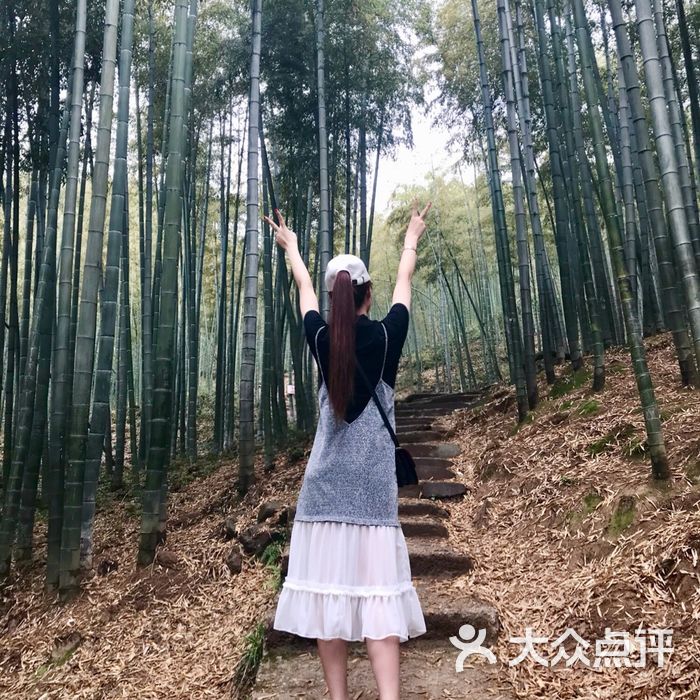中国大竹海景区