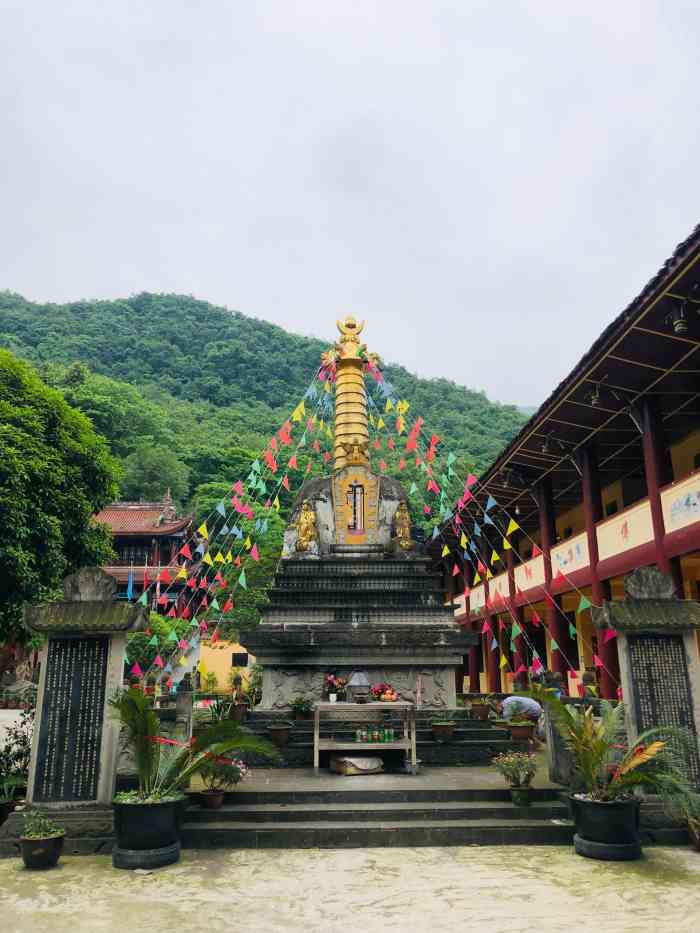 三溪寺-"这棵427年的树花漂亮了,三溪寺2008."-大众