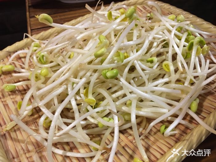老九味·重庆老火锅(星耀城1期店)豆芽图片 第233张