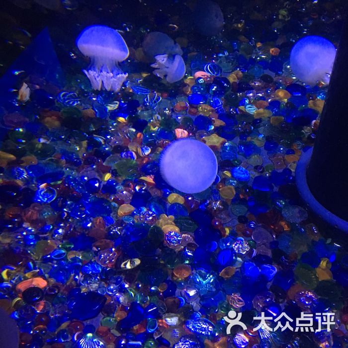 海滨城浩海立方海洋馆图片 - 第2张