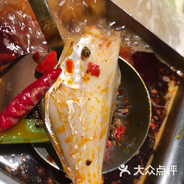 海底捞火锅麻辣扒皮鱼图片-北京火锅-大众点评网