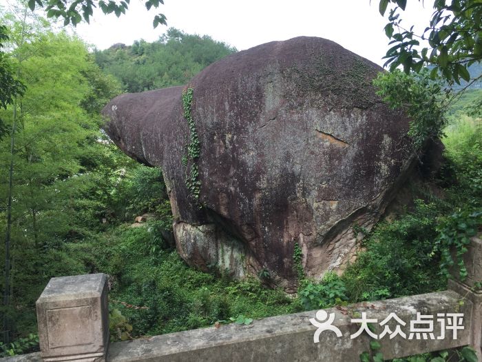 缙云仙都黄龙山景区图片 - 第10张