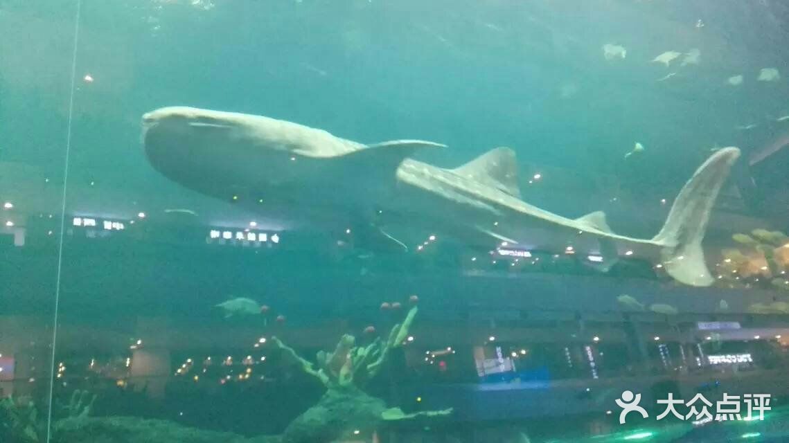 海滨城浩海立方海洋馆图片-北京海洋馆-大众点评网