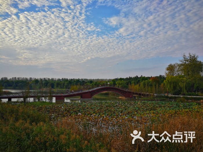 红草湖湿地公园图片 - 第46张